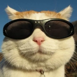 Остапчук Иван