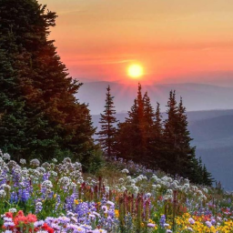 Ломков Роман Игоревич